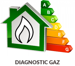 icone pour Diagnostic Gaz